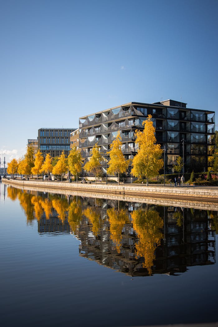 Free stock photo of 2025, architecture and design, architecture and nature